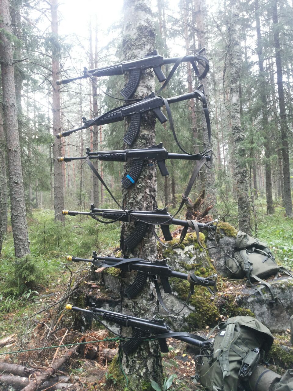 immoren:  Organic gun rack.