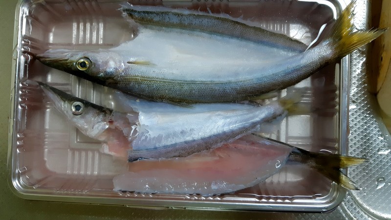 Yellowtail Explore Tumblr Posts And Blogs Tumgir Yellowtail Explore Tumblr Posts And Blogs Tumgir