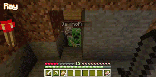 thehumangnomeproject:Let’s Play Minecraft - Ep 66 - King Ray pt. 2 (x)Gavin: AH! There’s a skeleton 