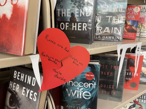 lookingforabook:Valentine vs Anti-Valentine library display