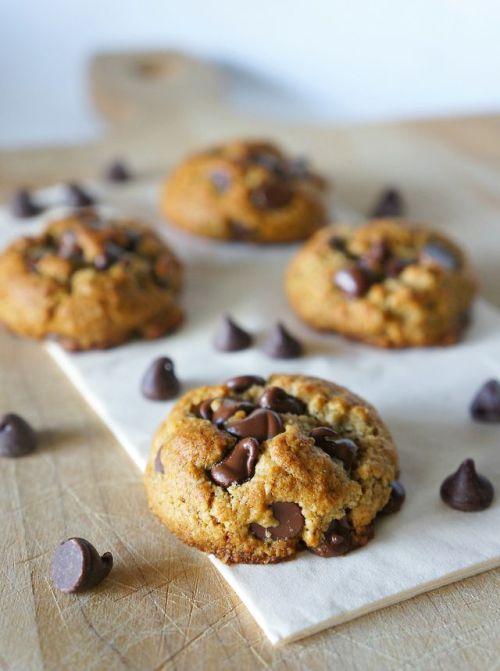 bakeddd:Healthified Dark Chocolate Chip Cookies (submitted by glazedandconfused.co) 