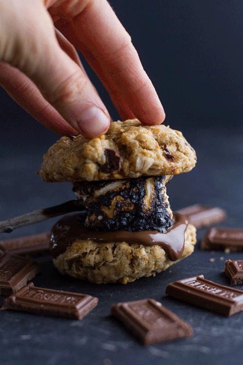 brownglucose:  chrisdwoo:  vneckandacardigan:food52:sweetoothgirl:Oatmeal Chocolate Chip + Graham Cracker Cookie S’moresThis may be the single greatest thing to ever grace the internet.   That is definitely pornography.  Minus the nasty ass oatmeal….yes