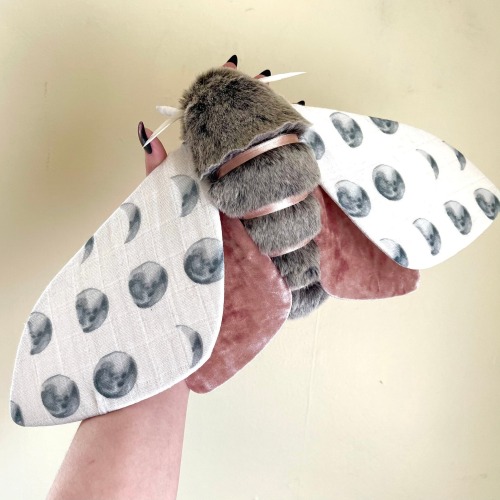 sosuperawesome:Fabric Moths / Bumble BeesMolly Burgess on Etsy