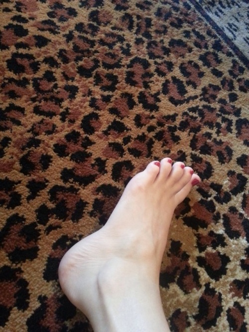 Fake Craigslist foot model searchBrittany - Size 6 - Austin, TXDelicious!!