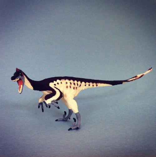 Velociraptor, Carnegie Collection, Safari Ltd., 2015 ID 410201. Feet tweaked to produce bipedal posi