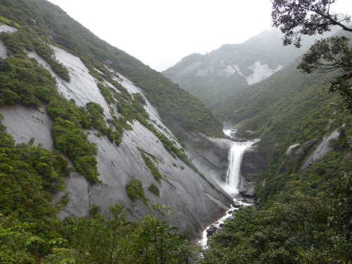 Senpironotaki Waterfall - Yakushima by Obilabilon