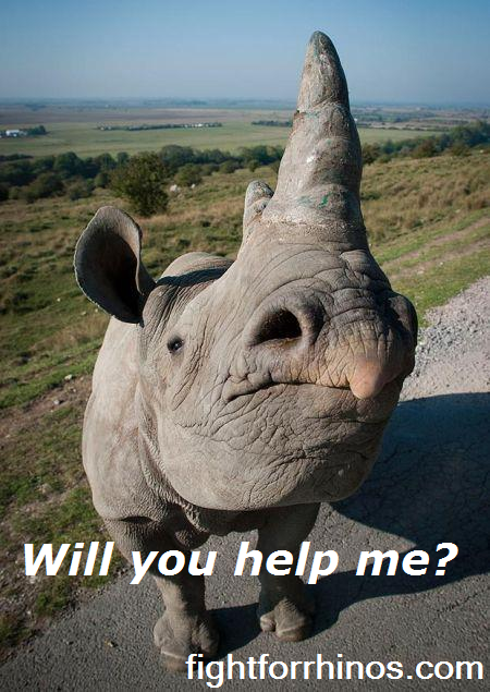 URGENT**MARCH 8TH is the FINAL day to send in your objections against the trade in rhino horn to the