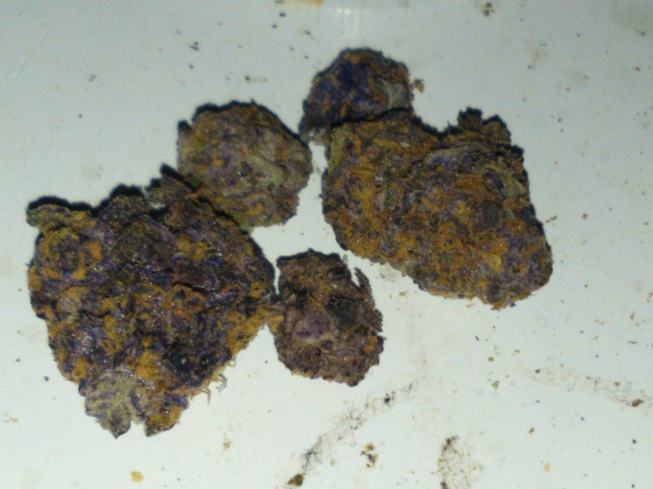 Purple 🍪 cookies! 