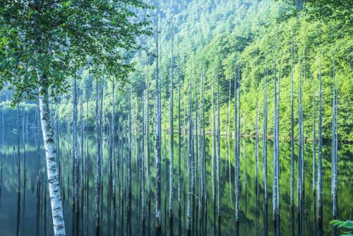 landscape-photo-graphy:Photographs of Japan’s Stunning Landscape That Look Like Watercolor Pai