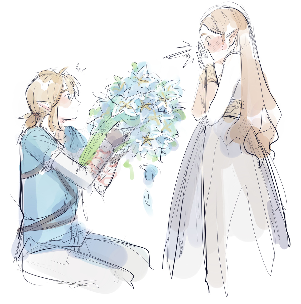 Huge Princess Zelda Fan