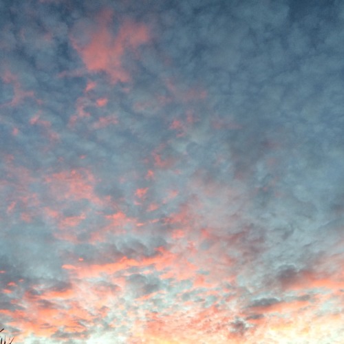 avokido:7:08 // 7:27 ☀️☁️