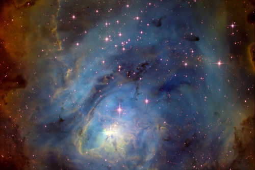 XXX orbitingthoughts:  The Lagoon Nebula (Messier photo