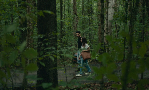  Movie-log 154. Black bear Lawrence Michael Levine – 2020 | USA | 6