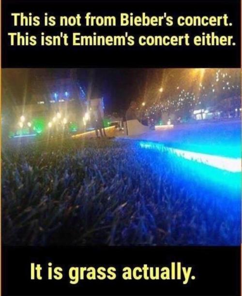 No es un concierto de Justin Bieber, ni de Eminem… es hierba.Extra: La mejor estrategia para 