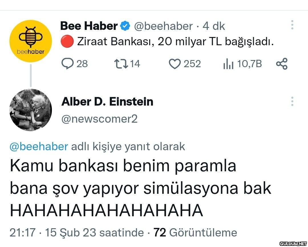 beehaber Bee Haber...