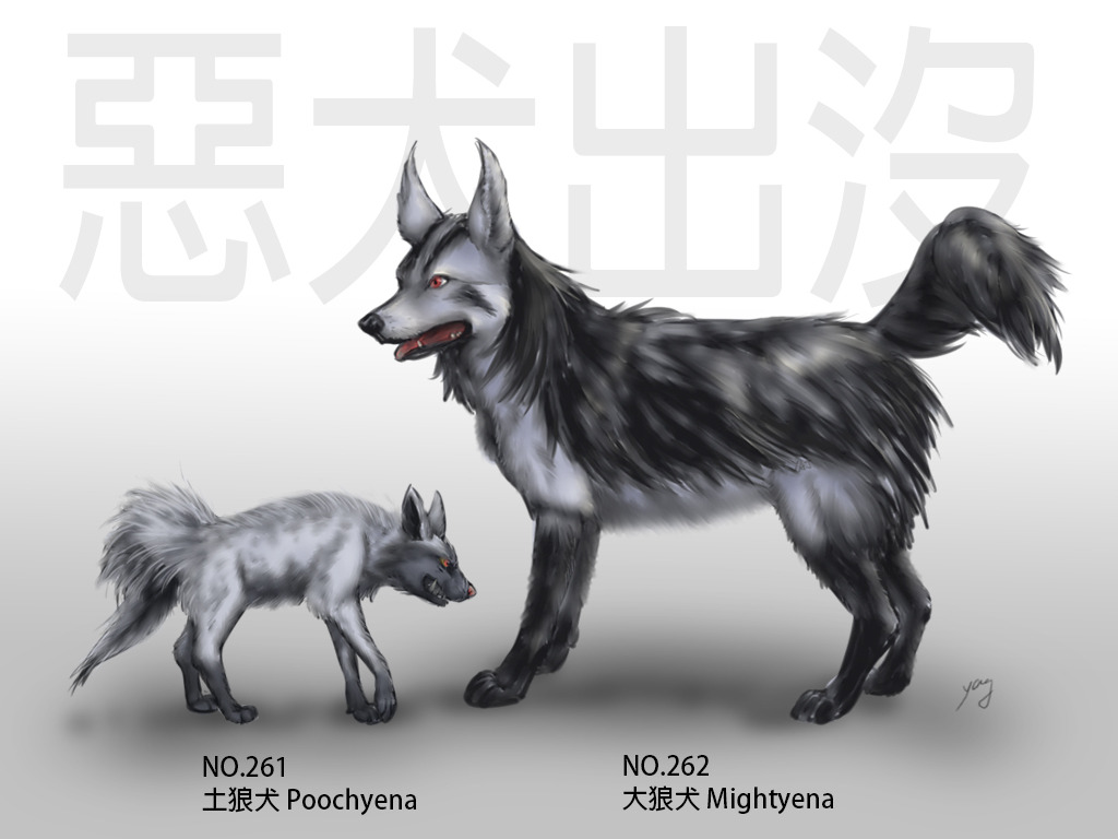 惡犬出沒！
寫實Pokemon：261 土狼犬、262大狼犬。
土狼犬 參考條紋鬣狗，大狼犬 參考德國狼犬和捷克狼犬。