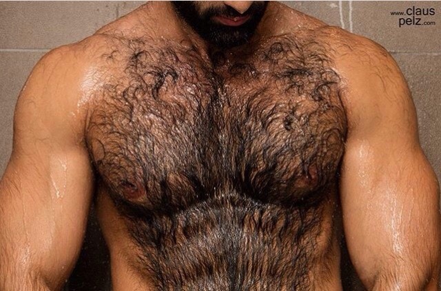 beardburnme:  trainer.f Instagram 