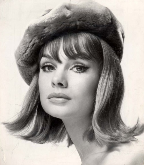 Jean Shrimpton