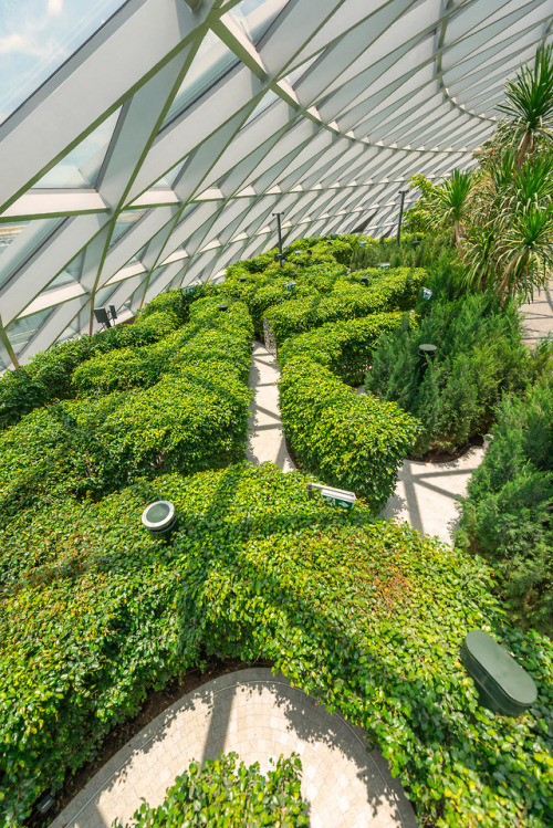 escapekit: Rain Vortex A seven-story waterfall designed by Safdie Architects is the focal point of the new Singapore’s Jewel Changi Airport. The 130-foot “Rain Vortex” is supplied by collected rainwater, and flows at the centre of a greenhouse