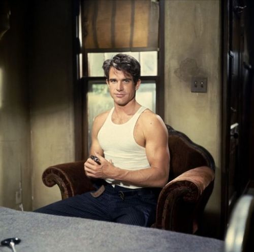 Young Warren Beatty can get it.