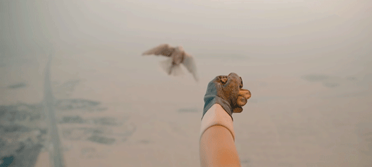kathifee-world:  skysegeljack:  🤠  😍😎