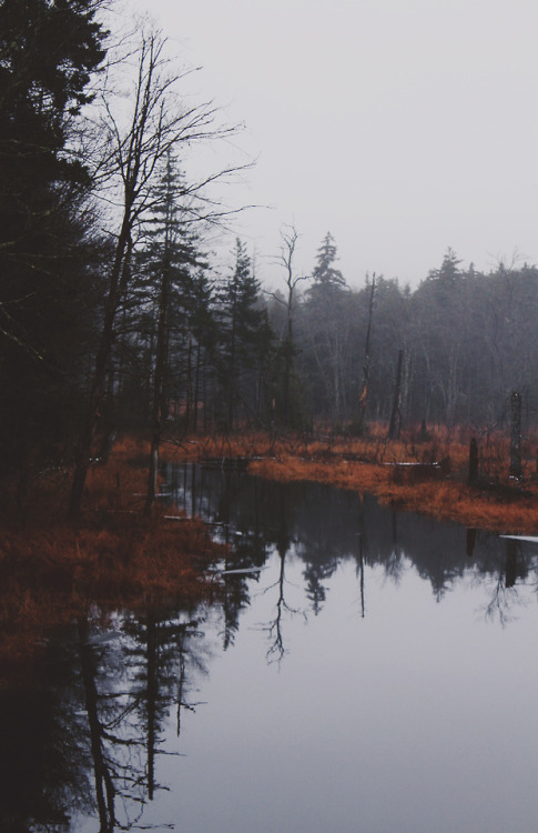 easied:Untitled by Emily Lauren Boyer