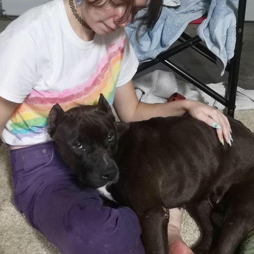 bugslug:this is Sweet Pea! she is a 2-year old pitbull mix <3i found her on the side of the road 