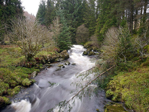 The Waters of Ae deep in the Ae Forest by penlea1954 on Flickr.