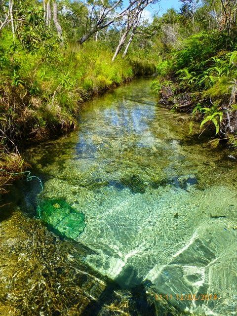 heroinsight:  a local swimming hole, Upper Orara, New South Wales, Australia