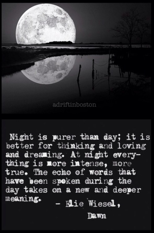 lovely-daydreamer73:  Goodnight,  sweet dreams!