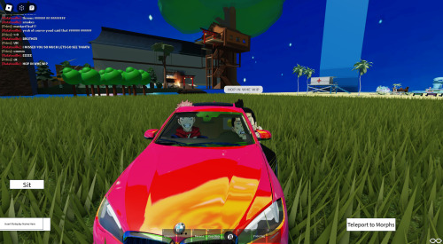 Roblox Screenshots