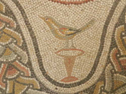 ancientanimalart: Roman bird mosaic, detail, Massimo Museum, Rome.  Photo by Helen Miles Mosaic