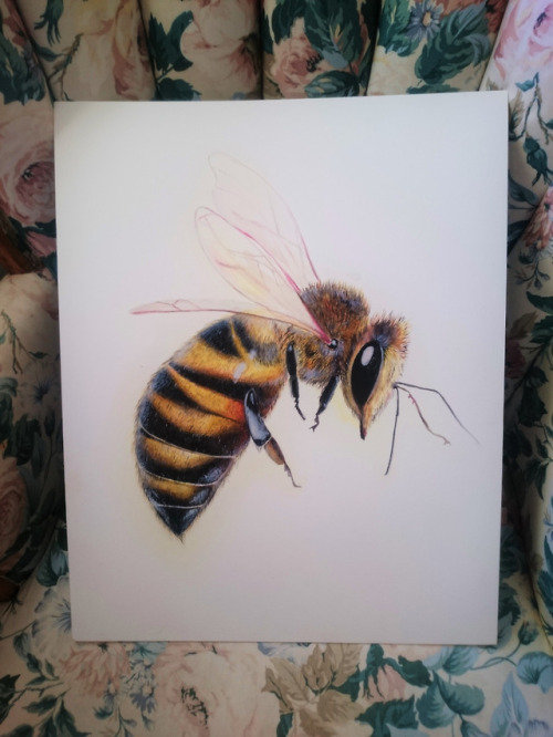 20x16′’ bee in watercolors, favorite &lt;3