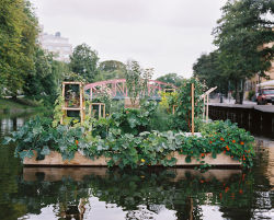 edge-j:  Pocket Park Fyrisån - floating