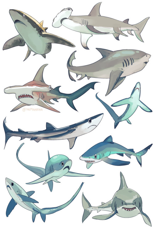 themaarika:a bunch of sharks remembering that they left the oven on at home