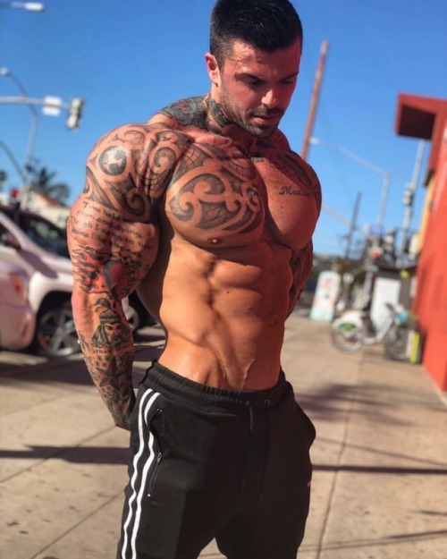 MUSCLE MAN DADDY