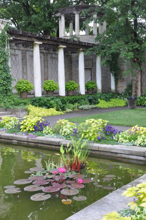 2016 Year in ReviewA zigzag of plantings including aquatics in the amphitheater reflecting pool.