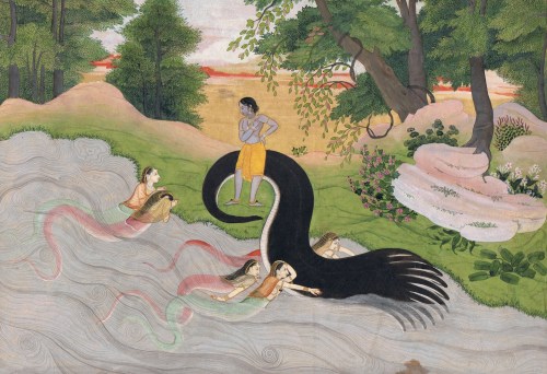 Krishna Defeats Naga Kaliya, pahari painting