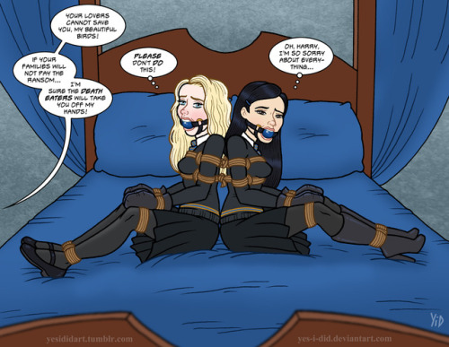 Ravenclaws Bound on a Bed by Yes-I-DiDAnother recent DeviantArt commission, the third in a series fr