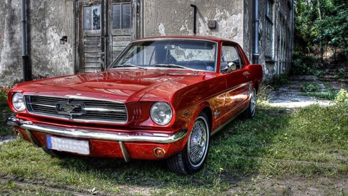 JUST THE COOLEST MUSTANGS