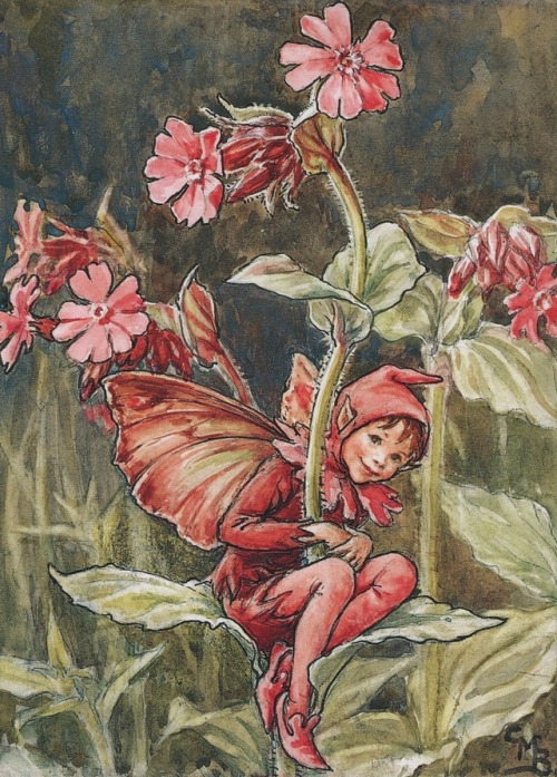 L’Elfe des LychnisArtist : Cicely Mary Barker