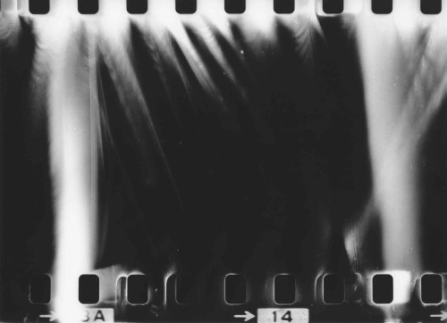 sunjongpyo:  daido moriyama 