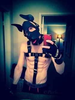 kinkyboyfrance:  pupsmaug:  🐶Arooo. Pup having a great new year. Wags to all my friends and followers🐶  Licks !