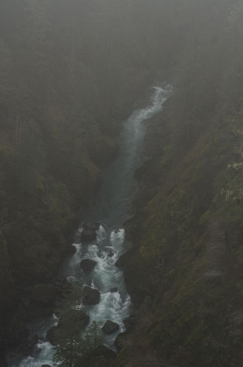 millivedderphotography:Foggy Vance CreekFlickr|Facebook|Tumblr|Society6