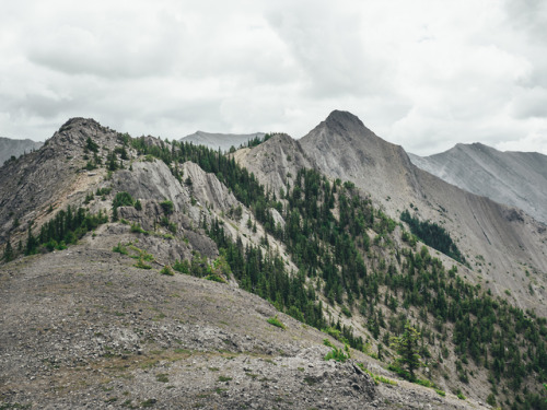 Wasootch Ridge - Kananaskis Country, Alberta, Canada