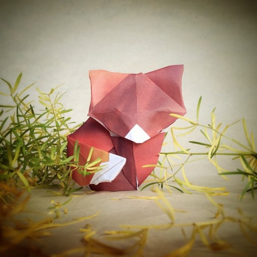 Porn instagram:  Unfolding the Art of Origami photos