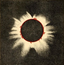 nemfrog: Frontispiece, detail. Solar eclipse _Les étoiles_ 1895 Frontispiece Friday 