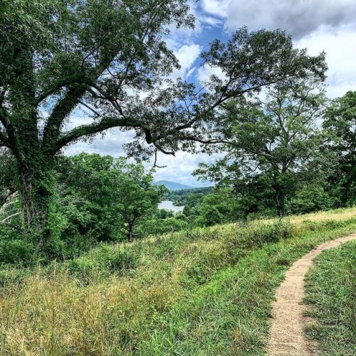 when you have a half work day and take the time to explore. #biltmore #biltmoreestate #explore #trai