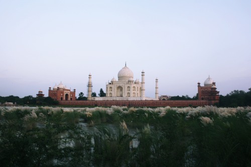 adventure-and-photography: Taj Mahal - India, August 2015 