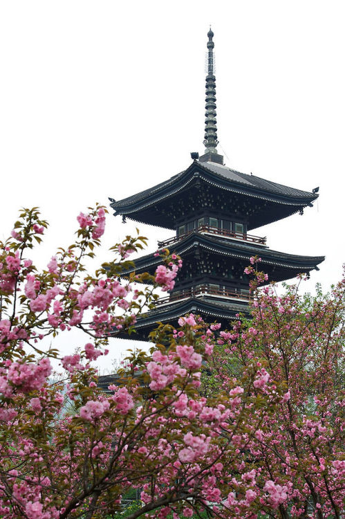 Japanese style tower 武汉东湖樱园Sakura Garden, East Lake, Wuhan, China By : randomix